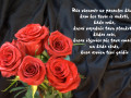 Foto: Apsveikuma kartiņa: Vienmēr uz pasaules kāds...