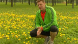 Video: Kā cīnīties ar savainojumiem skrienot?