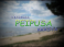 Video: Vidzemes TV: Tiksimies Peipusa krastā