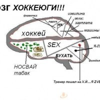 Mishaa