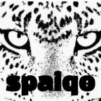 spaiqo