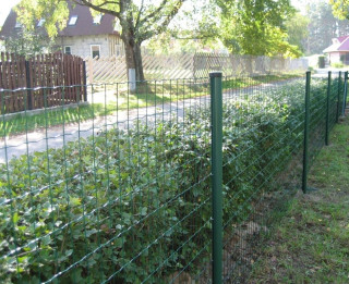 Žogs, tā veidi un pielietojums