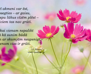 Tava vārda skaidrojums (nozīme) un ietekme uz tavu likteni. 6.augusts- Aisma, Askolds