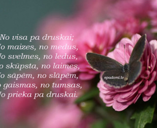 Tava vārda skaidrojums (nozīme) un ietekme uz tavu likteni. 9.septembris- Telma, Bruno