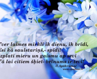 Tava vārda skaidrojums (nozīme) un ietekme uz tavu likteni. 29. oktobris - Elva, Elvis, Elvijs, Laimonis, Laimis
