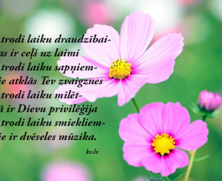 Tava vārda skaidrojums (nozīme) un ietekme uz tavu likteni. 3. novembris - Ērika, Dagnija