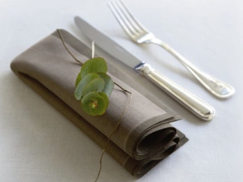 Senči galda salvetēm