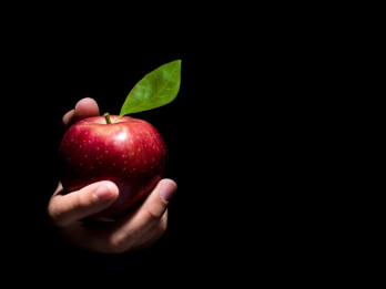 Grēku horoskops: kādi grēki kārdina zodiaka zīmju pārstāvjus? Grēku horoskops: kādi grēki kārdina zodiaka zīmju pārstāvjus?