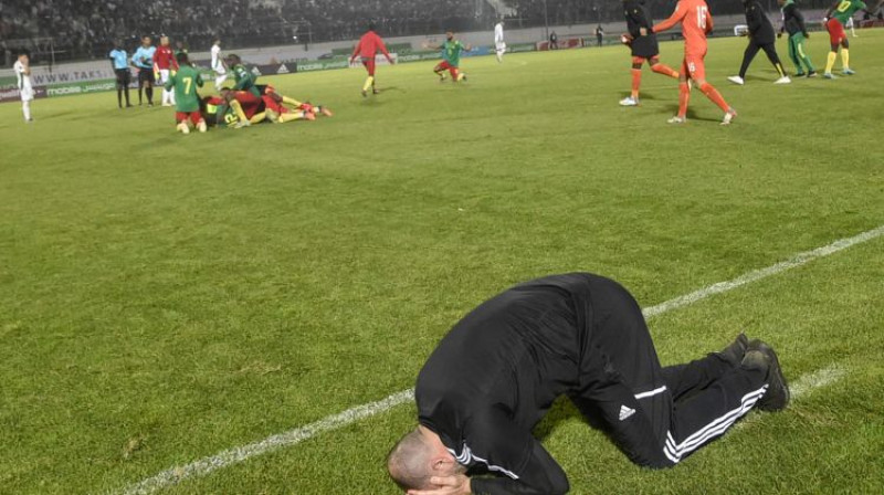 Alžīrijas treneris Džamels Belmadi pārdzīvo uz Kamerūnas svinību fona. Foto: AFP/Scanpix