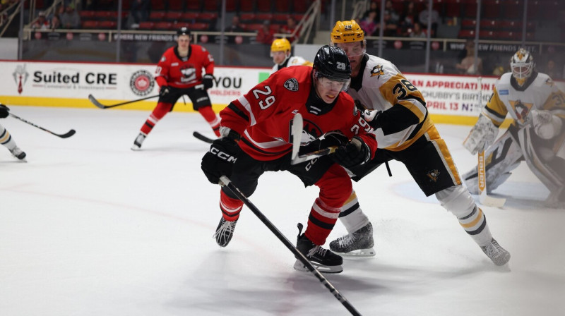Sandis Vilmanis cīņā pret Vilksberijas un Skrentonas "Penguins". Foto: Charlotte Checkers