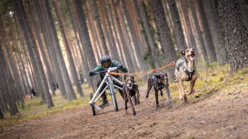 Foto: Egons Ansbergs.