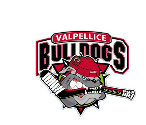 Informācija par HC Valpellice Bulldogs rīkotajiem jauniešu turnīriem 2012./2013. gada sezonā.