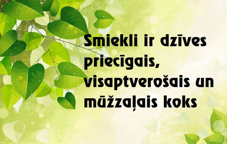 19. jūnija dienas horoskops sadarbībā ar astrologi.lv